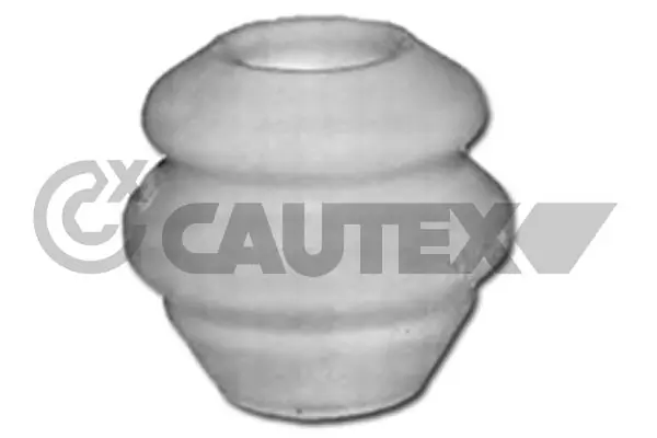 461272 Cautex
