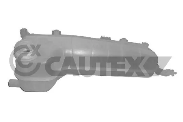 954191 Cautex