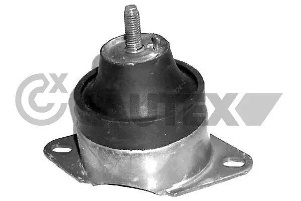 031440 Cautex