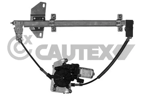 067033 Cautex
