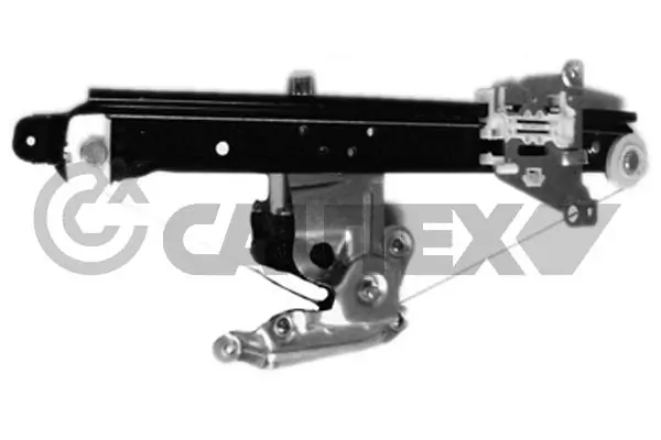257013 Cautex
