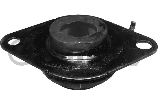 021058 Cautex