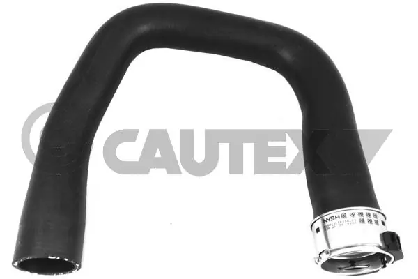 486705 Cautex