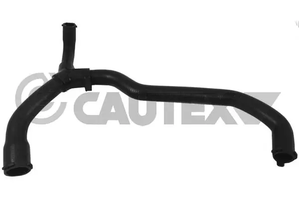 036381 Cautex