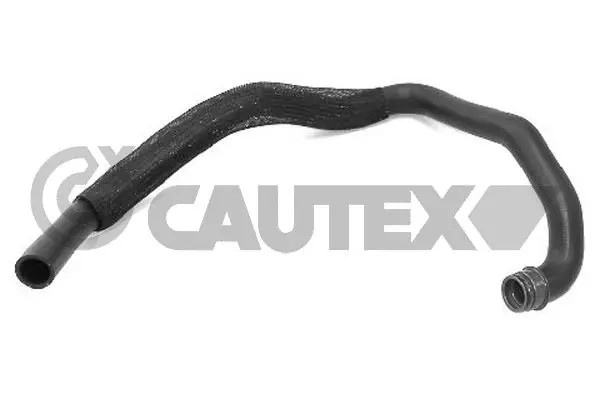 036765 Cautex