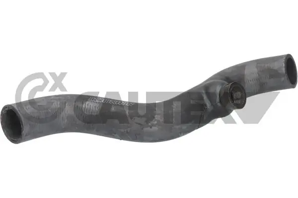 086000 Cautex