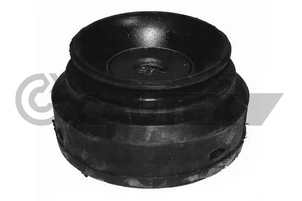 460094 Cautex