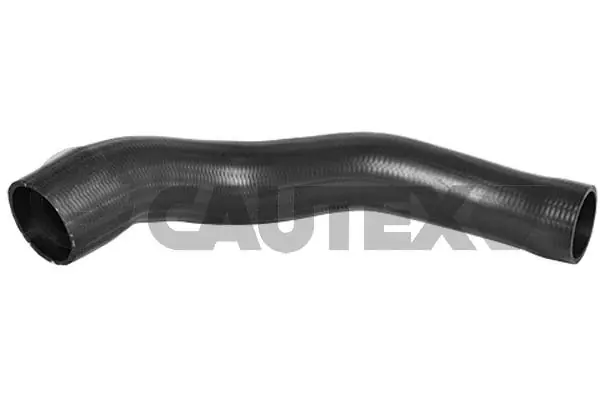 754502 Cautex