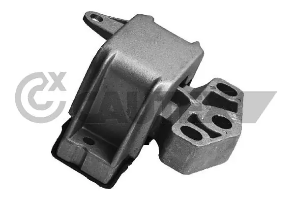 462626 Cautex