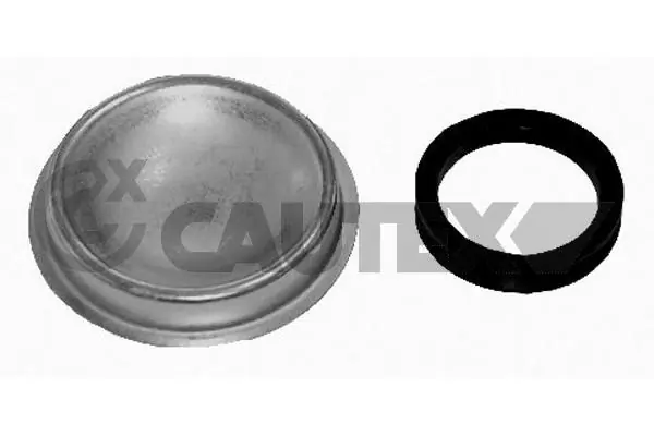 951015 Cautex
