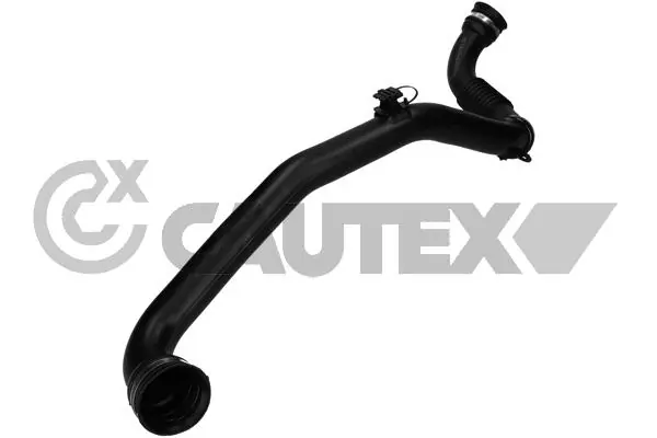 771651 Cautex
