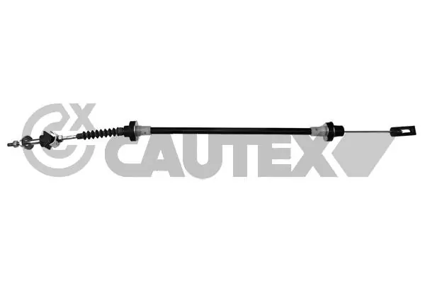 465120 Cautex