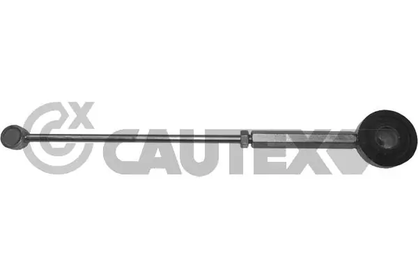031109 Cautex