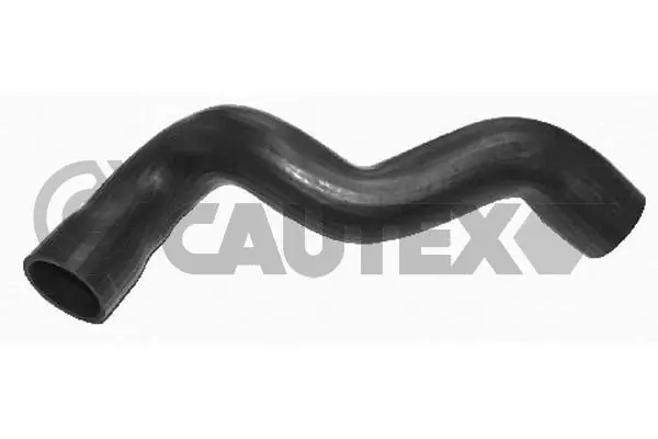466719 Cautex