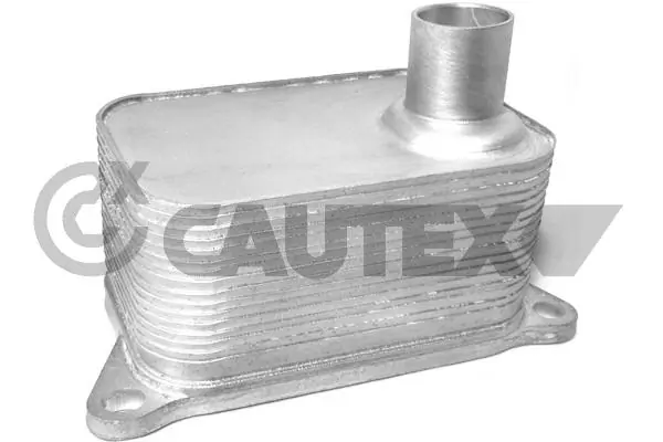 462518 Cautex