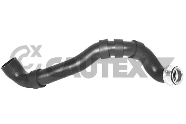 753297 Cautex