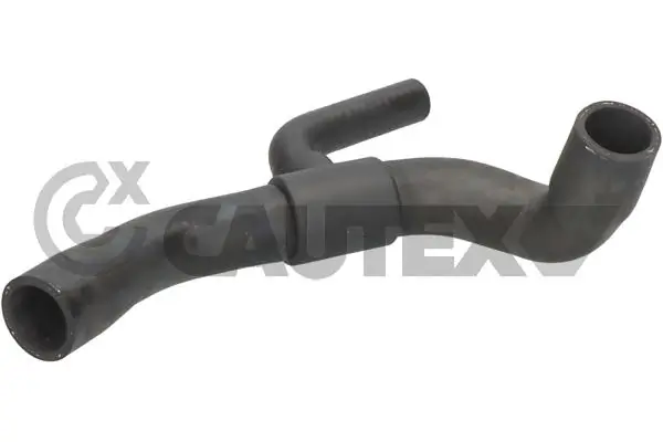 086161 Cautex