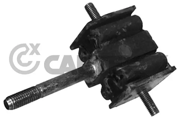 020340 Cautex