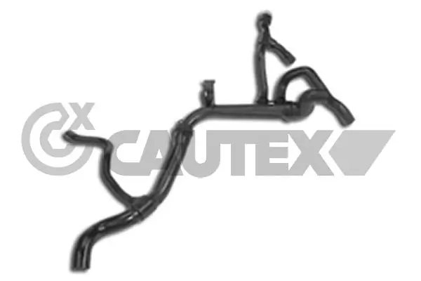 481106 Cautex