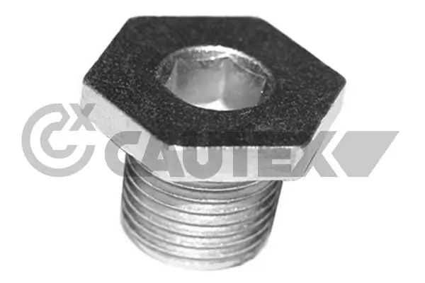 952001 Cautex