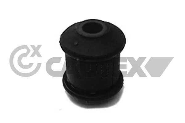 080874 Cautex
