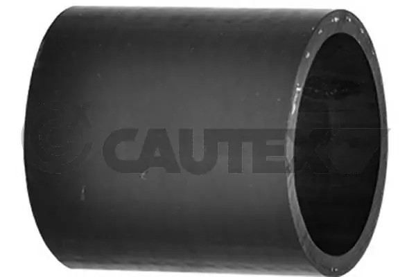 036790 Cautex