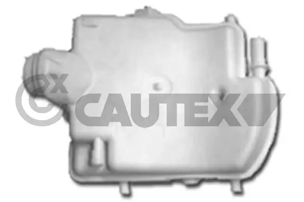 954236 Cautex