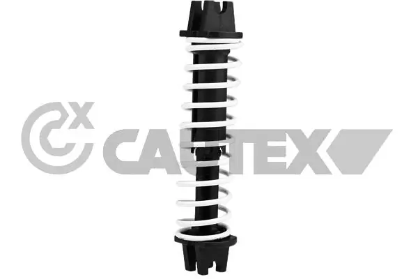 771805 Cautex