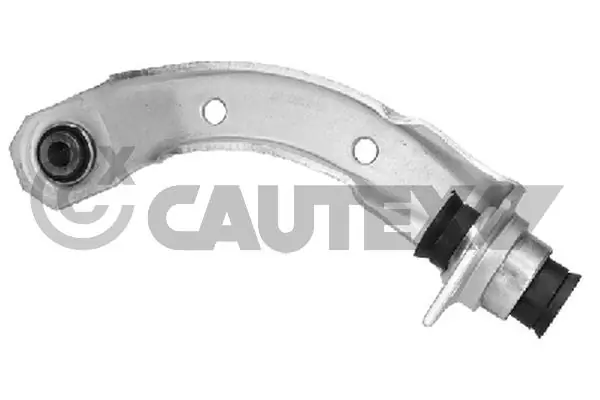 021345 Cautex