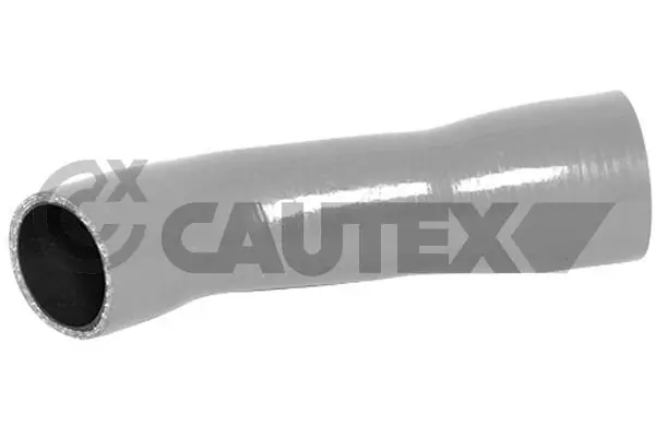 754496 Cautex