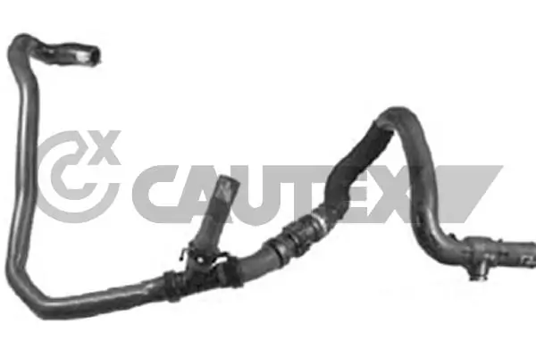 752947 Cautex
