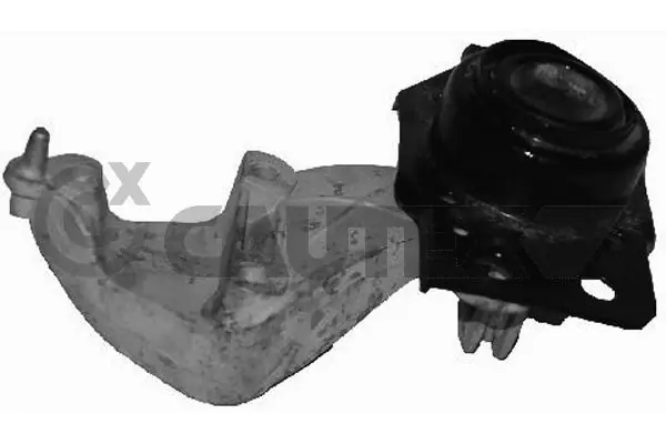 021108 Cautex