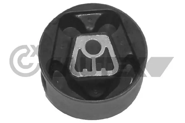 030903 Cautex