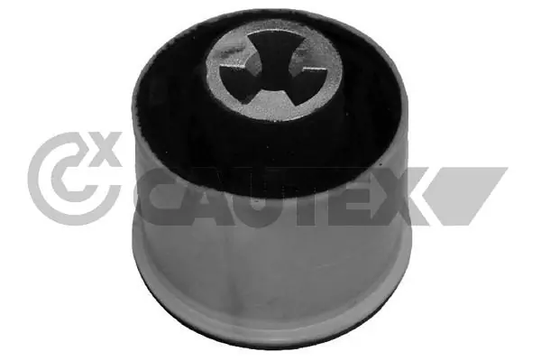 461120 Cautex