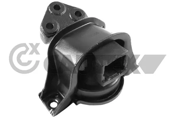 031685 Cautex