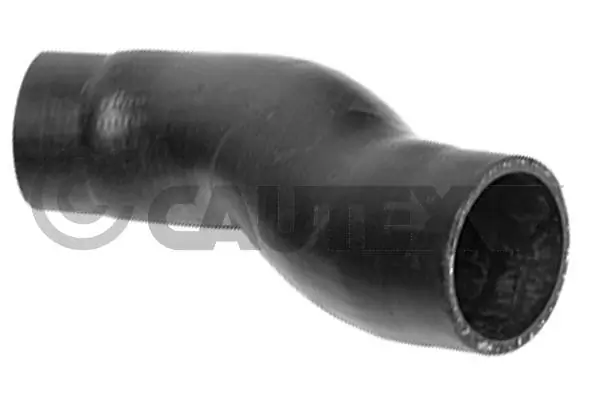 754509 Cautex
