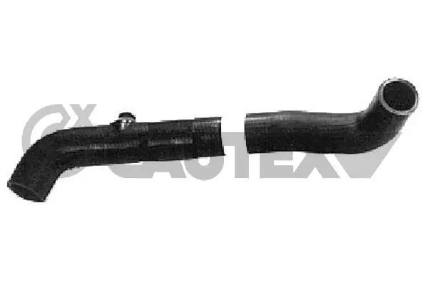 086385 Cautex