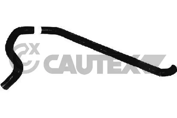 086387 Cautex