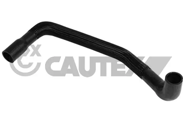 754081 Cautex