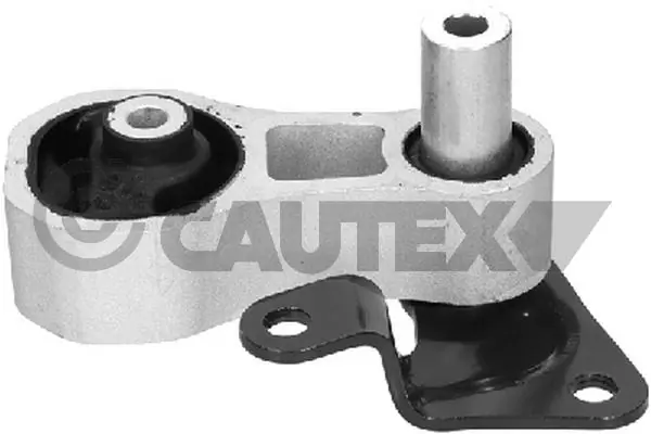 081082 Cautex