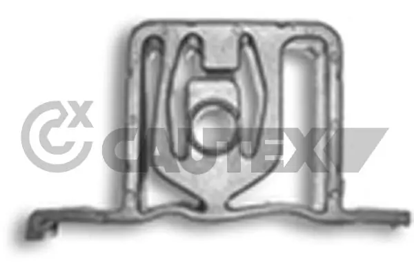 460441 Cautex