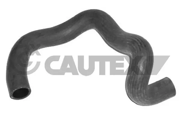 036372 Cautex