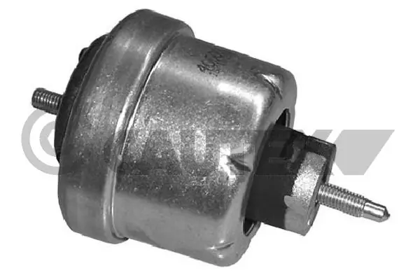 480496 Cautex