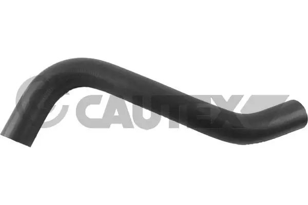 706019 Cautex