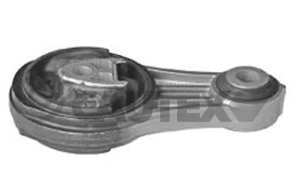 021340 Cautex