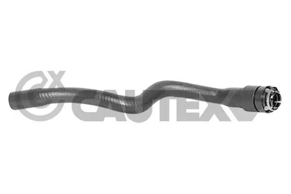481119 Cautex