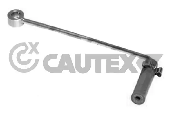 752952 Cautex