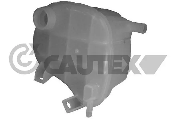 021062 Cautex