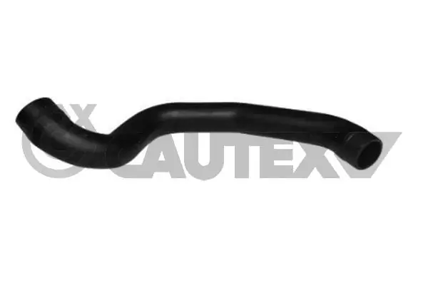 086810 Cautex