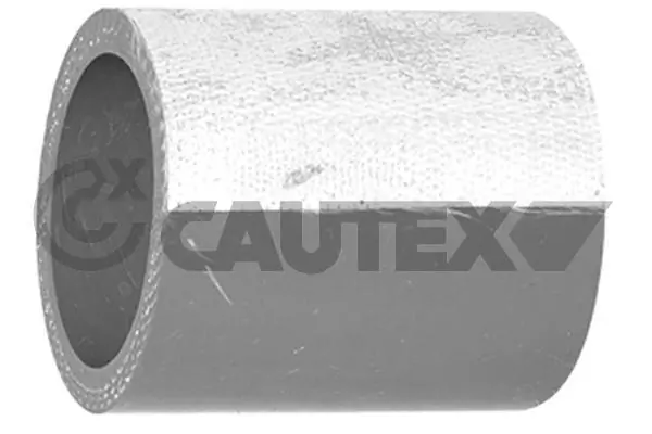 754535 Cautex